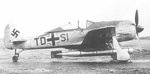 fw190-a5-45_torpedo_bomber_771.jpg