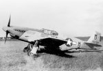 P-51C 3.jpg