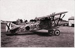 Fiat Cr.32 Chirri 006.jpg