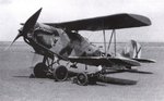 Heinkel He-45  Pavo 001.JPG