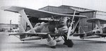 Henschel Hs-123 Angelito 003.JPG