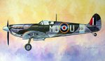 blakeslee_spitfire_tw_2.jpg