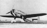 pzl46-4.jpg