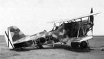 Heinkel He-45 Pavo 0026.jpg