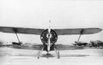 Polikarpov I-15 Chato 003.JPG