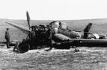 ju 87.jpg