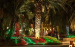 Christmas in the desert-036 A.jpg