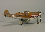 p-400_shark_110.jpg