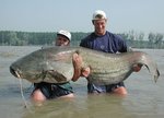 bigcatfish.jpg