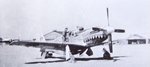 P-51 Evalina in Japan.jpg