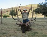 elk world record bow 455BC points.jpg