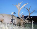 elk world record 502BC high fence ranch.jpg