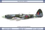 Mk_22_GB_608Sqn_Dev.jpg