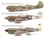 p-40 in action A29-1193 profile.jpg