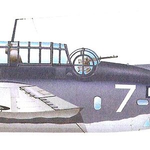 Grumman TBF-1 Avenger_4.jpg