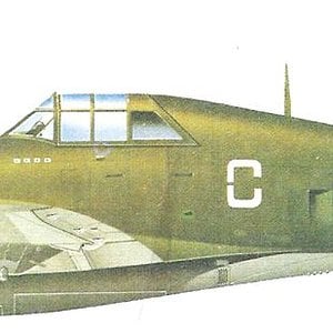 Republic P-47D Thunderbolt_3.jpg