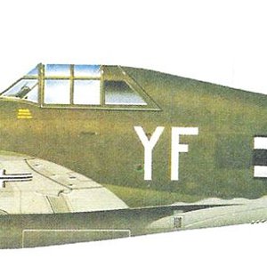 Republic P-47D Thunderbolt_4.jpg