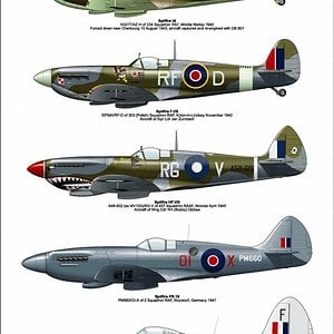 Spitfire profiles