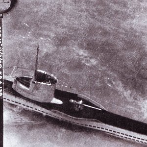 U-31