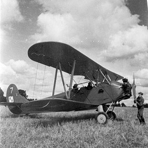 A Polikarpov Po-2 , Poland,  1946