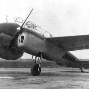 PWS 33/I Wyżeł, the first prototype (1)