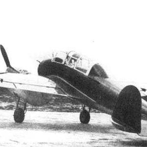 PWS 33/I Wyżeł, the first prototype (2)