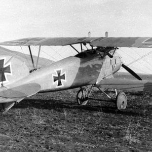 Albatros D.III, model 1917 with late rudder