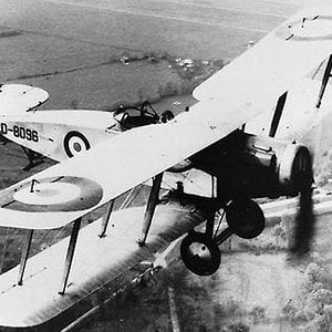 Bristol F.2b no.D8096