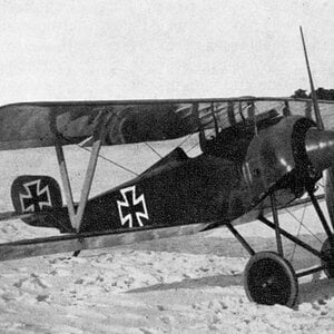 Siemens-Schuckert D.I , 1917 (1)