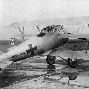 Pfalz Dr.I no.3050/17 (2)