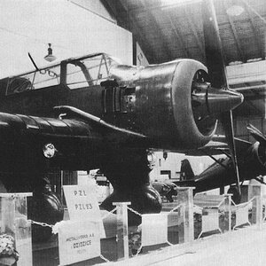 PZL 23 Karaś and PZL P-11c at the air show in Stockholm 1936