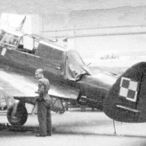 PZL 42 prototype