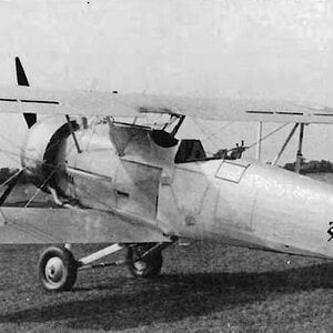 Hawker Hind of the Iranian Air Force (2)
