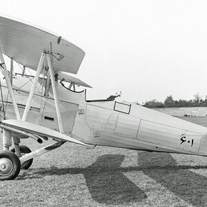 Hawker Hind of the Iranian Air Force (1)