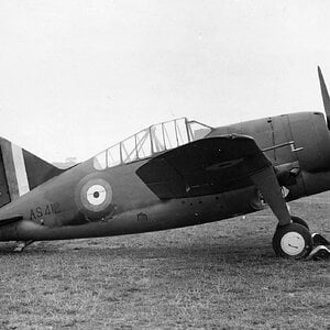 Brewster F2A Buffalo, RAF AS412, 1940 (1)