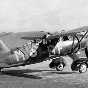 Westland Lysander II , P9136, BF-M , no. 28 Squadron , 1942