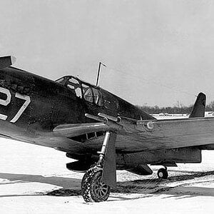 NA P-51 s/n 41-37427, "White 27", 1943 (2)