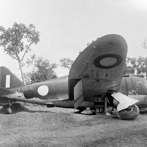 Republic P-43B Lancer, RAAF A56-5, 1942 (1)