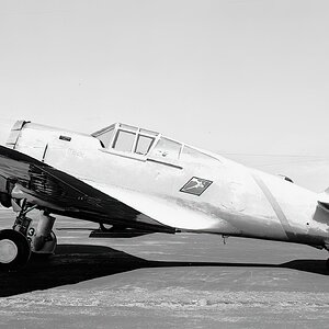 Curtiss P-36A of the 79th Pursuit Squadron, 20th Pursuit Group, Oakland, 1940