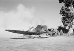 Spitfire VIII 155 Sq.jpeg