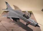 MiG 21 288.jpg
