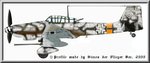 rudel_ju87g-1_profile.jpg