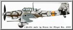 rudel_ju87g-1_profile_192.jpg