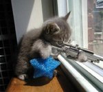 kittysniper.jpg