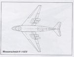 p.1107.jpg