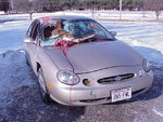 deervstaurus1.jpg