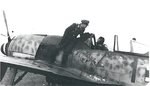 fw190arote1.jpg