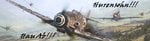 zsig_me-109_p-47s.jpg