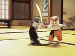 crouching_kittens.jpg