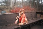 huntigdog.jpg